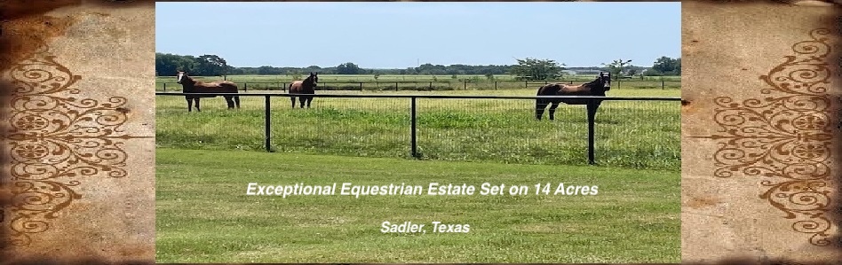 Horse properties Horse properties