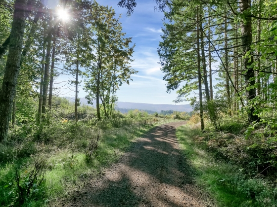 Equestrian Properties For Sale Equestrian Properties For Sale