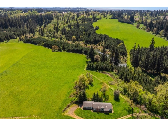 Equine Transportation Services Equine Transportation Services