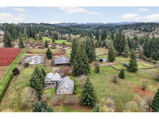 Equine Transportation Services Equine Transportation Services