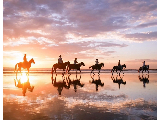Horse Farms For Sale Horse Farms For Sale