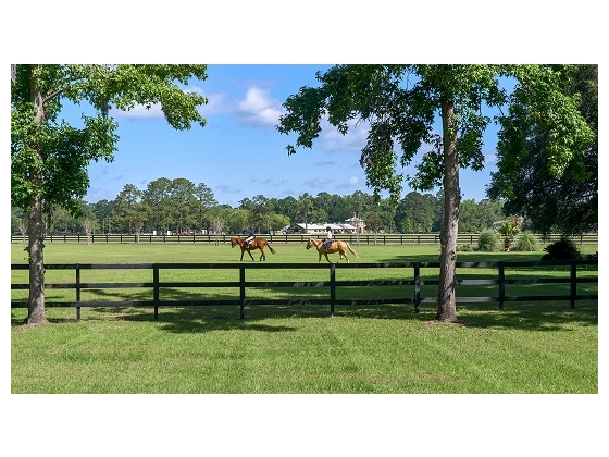 View from the front yard towards Equestrian Center