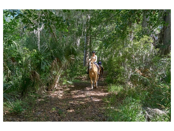 17 miles of trails behind home