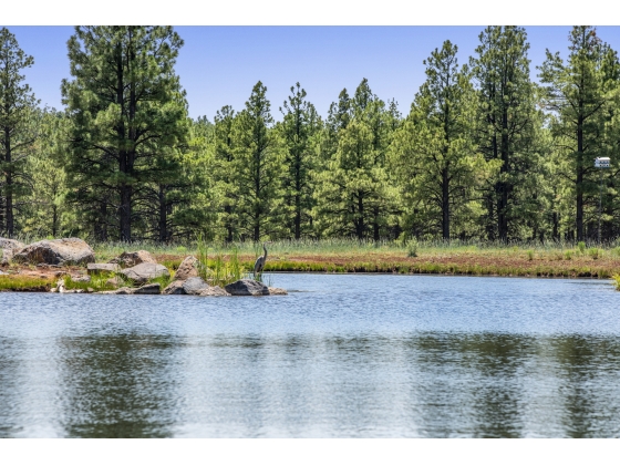 stocked lake