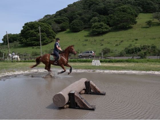 Access to premier horse facility