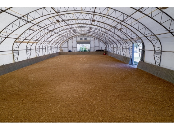 Olympic Dressage Court with GGT footing, angled wood walls, viewing deck, mirrors and large roll up door with storage area 