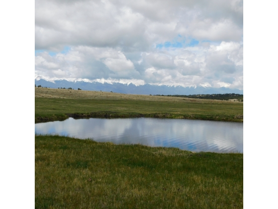 Spring fed pond