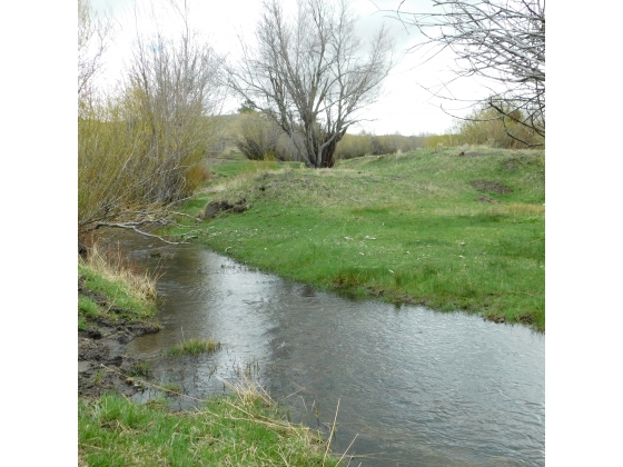 Year round creek-through entire property 